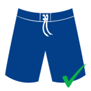 Board Shorts or Swim Trunks